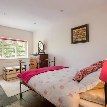 Bell - Pretty Period Dog Friendly